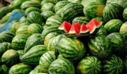 康县网红 吃瓜视频,揭秘网络热点背后的故事