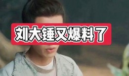 刘大锤正式爆料视频播放,揭秘视频播放背后的惊人真相